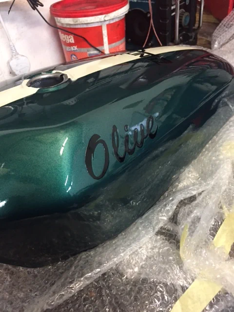 A Bike Named Olive A Bike Named Olive