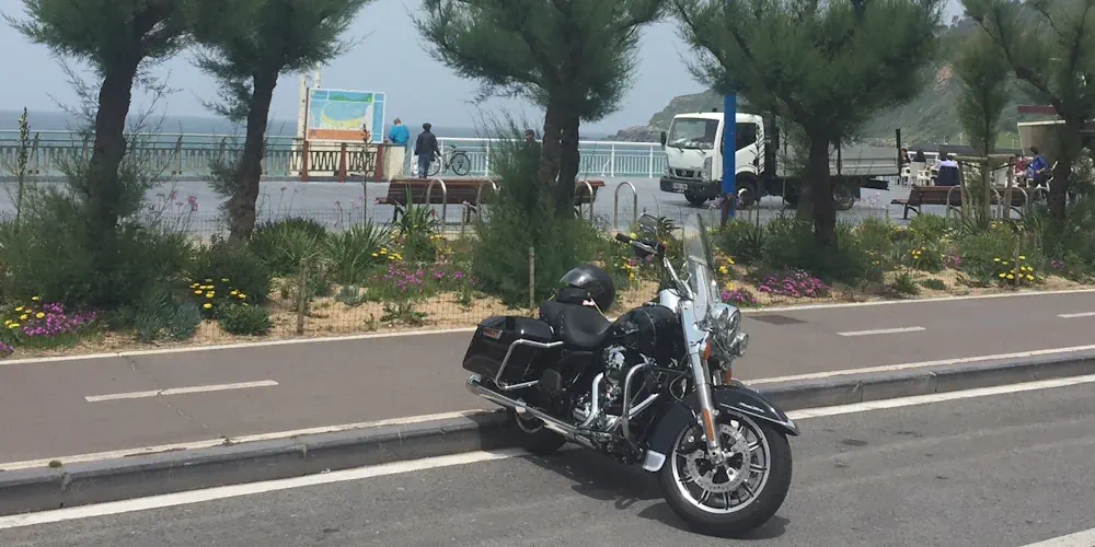 Harley Davidson Road King